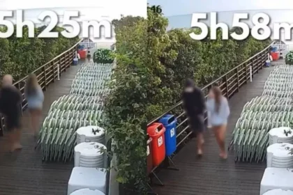 Veja jovem voltando para casa após agredir cão Orelha