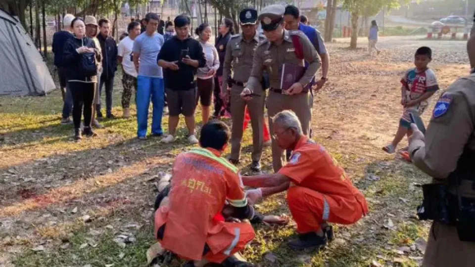Elefante ataca e mata turista na Tailândia; é a terceira vítima do animal