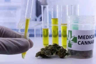 Aval da Anvisa ao cultivo da Cannabis é marco contra a repressão a pacientes, dizem associações