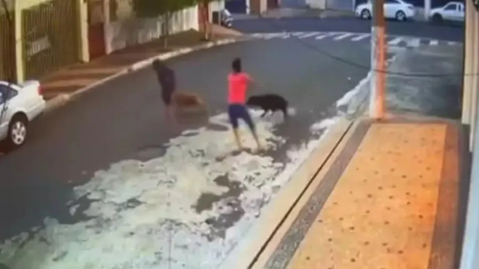 Criança tem o couro cabeludo arrancado ao ser atacada por pit bull