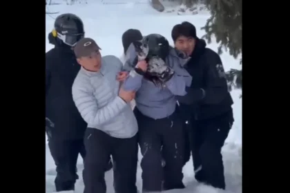 Turista é atacada por leopardo-das-neves em parque da China; veja
