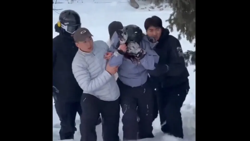 Turista é atacada por leopardo-das-neves em parque da China; veja