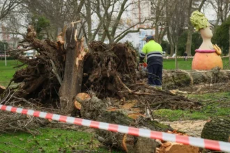 Tempestade em Portugal mata cinco pessoas, provoca apagão e deslizamentos