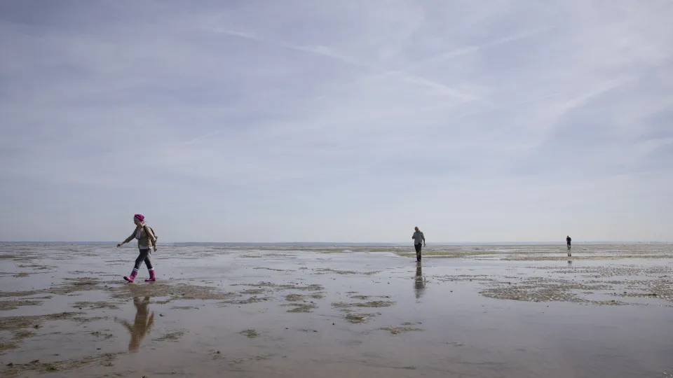 Inglaterra: GPS “engana” entregador e o leva à rota mortal