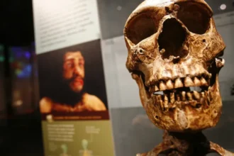 Fósseis de 770 mil anos podem revelar ancestral de humano moderno e de neandertal