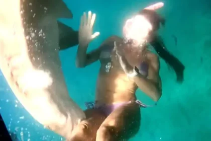 Vídeo mostra mordida de tubarão em turista em Fernando de Noronha