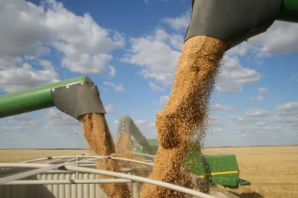 Processadoras de soja deixam acordo sobre desmatamento na Amazônia