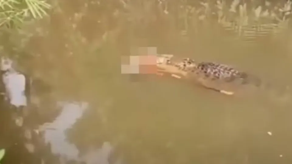 Crocodilo de 6 metros é visto carregando corpo de mulher desaparecida