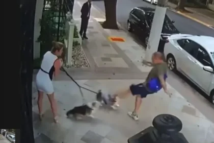 Justiça condena aposentado por agredir cães de irmã do ministro Zanin, do STF