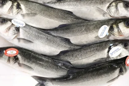 Vigilância Sanitária orienta sobre compra de pescado na Semana Santa