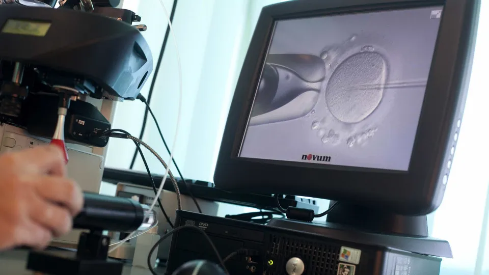 Casal branco processa clínica por erro após bebê in vitro nascer asiática