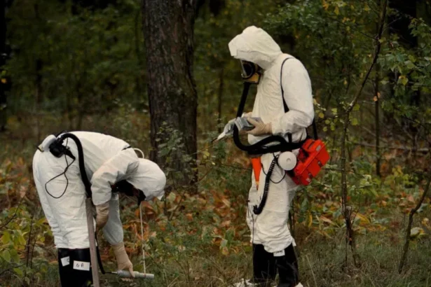 Vida selvagem substitui humanos na paisagem radioativa de Chernobyl