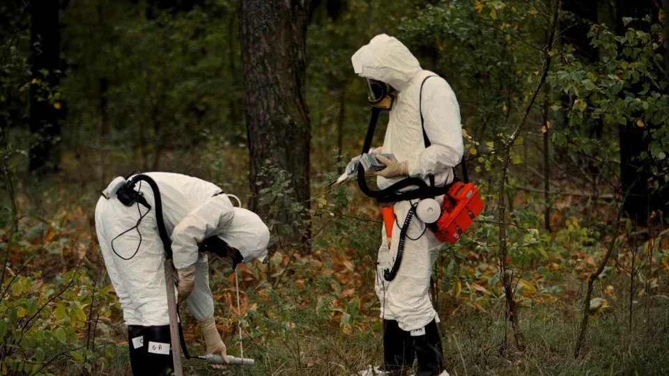 Vida selvagem substitui humanos na paisagem radioativa de Chernobyl