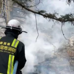 Centenas de bombeiros combatem incêndios florestais no norte do Japão