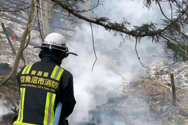 Centenas de bombeiros combatem incêndios florestais no norte do Japão
