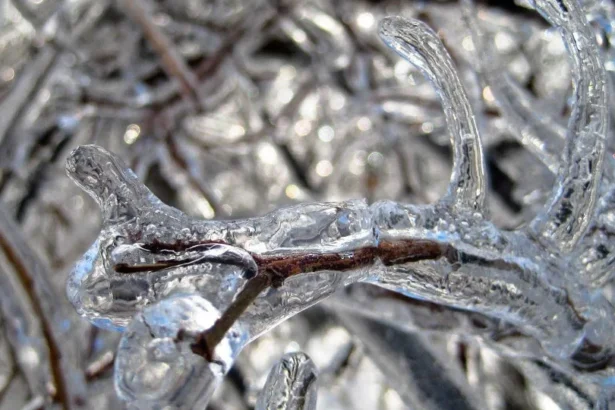 Previsão diz que há chance de neve no Brasil neste fim de semana