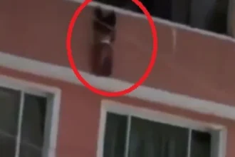 Menino de 2 anos cai de varanda e é salvo por vizinhos na Colômbia; vídeo
