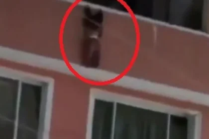 Menino de 2 anos cai de varanda e é salvo por vizinhos na Colômbia; vídeo