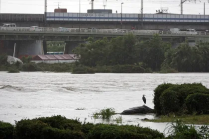Tufão Jangmi deixa feridos, corta energia e cancela 600 voos no Japão