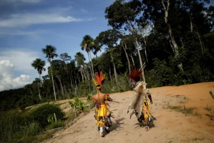 Fazendeiros usam agrotóxicos para expulsar aldeia indígena em Rondônia, diz MPF