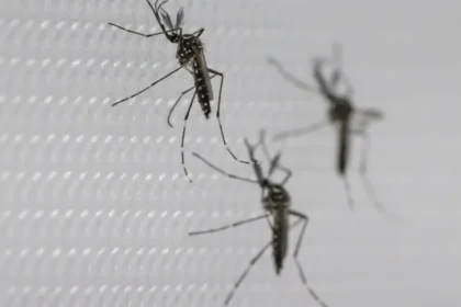 SUS suspende uso de vacina da dengue do Butantan após reações adversas