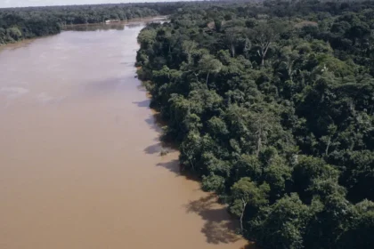 Desmatamento na Amazônia cai 61,4% em maio de 2026