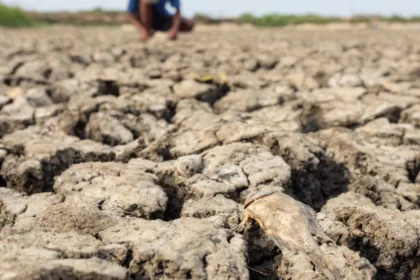 El Niño começou e ficará intenso no final do ano, aponta agência dos EUA