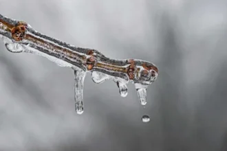 Frio persiste com risco de geada no Sul e Sudeste