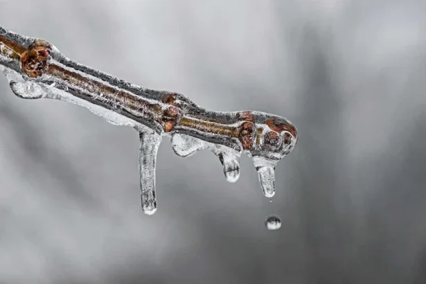 Frio persiste com risco de geada no Sul e Sudeste