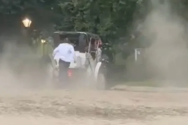 Turista morre em passeio de carruagem depois de cavalo perder o controle