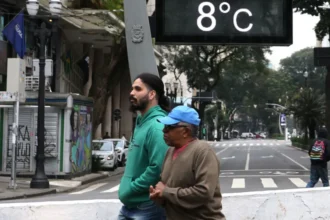 Massa polar derruba temperaturas e pode levar frio de -8°C ao Sul