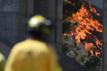 Europa enfrenta nova onda de calor, incêndios e alta nos alimentos