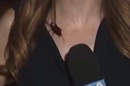 Vídeo viral: Barata voadora invade cobertura ao vivo de jornalista