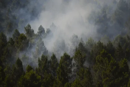 Incêndio na Espanha queima 13 mil hectares e expulsa centenas de casa
