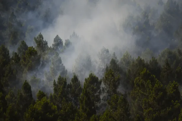 Incêndio na Espanha queima 13 mil hectares e expulsa centenas de casa
