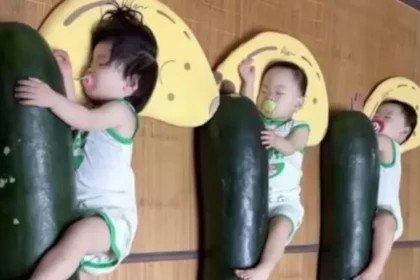 Chineses dormem abraçados a melões gigantes para enfrentar calor extremo; entenda