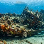 Barcos afundados transformaram fundo arenoso em recife artificial próximo a Gibraltar
