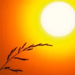 Goiânia terá quinta-feira (13) escaldante, com máxima de 36°C