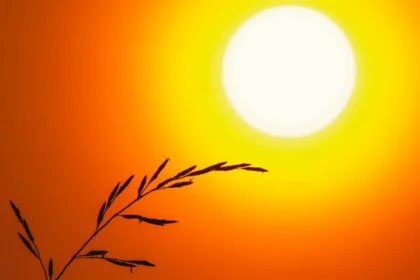 Goiânia terá quinta-feira (13) escaldante, com máxima de 36°C